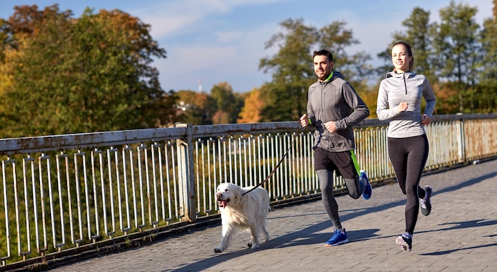 Why Using Hands-free Running Dog Leashes Is Good