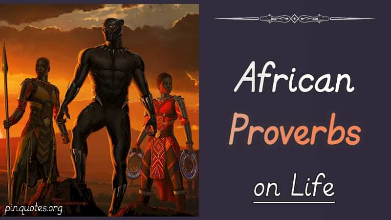 120+ African proverbs about life, love, woman. beauty and togetherness