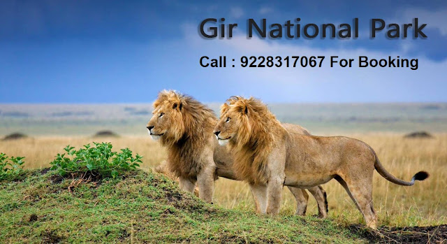 Gir National Park