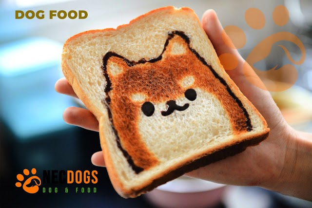 Dog food: do you feed your dog high-quality Dog food?