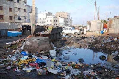 مصر وظاهرة التلوث البيئى