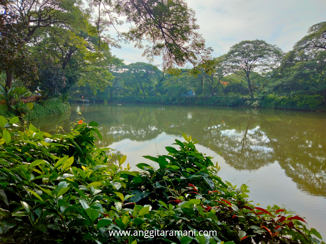 Kebun bibit wonorejo