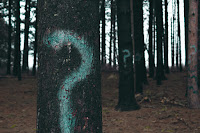 Question mark on a tree trunk