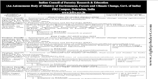 Research Associate/Field Assistant/Junior Project Fellow Jobs in Indian Council of Forestry Research and Education