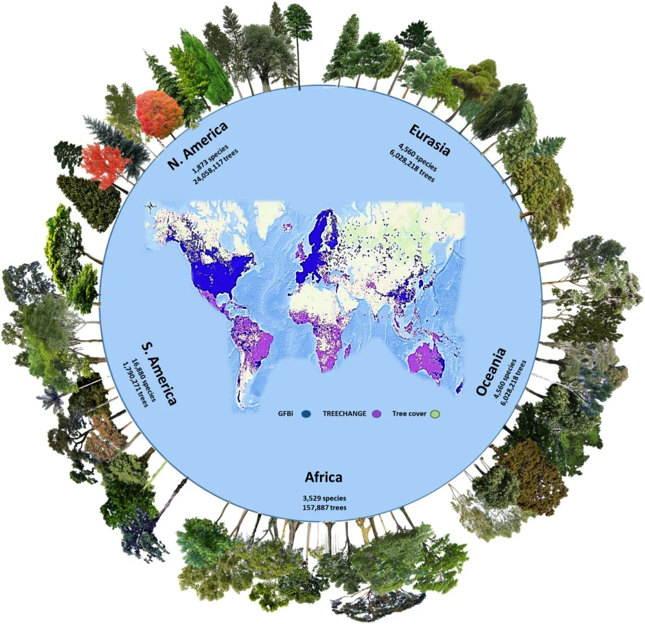 Tree species by countinent