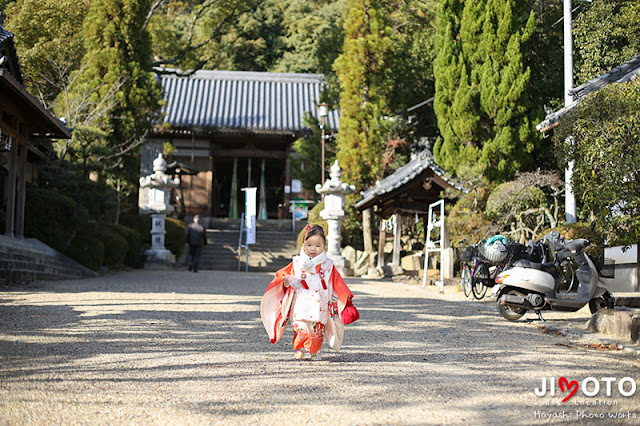 富田林市で七五三出張撮影