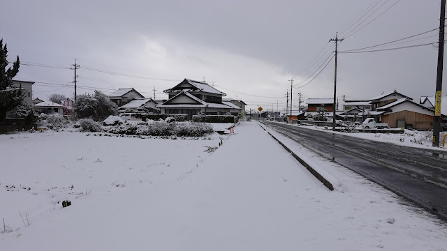 歩き始めは雪は止んでいました