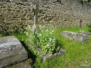 cimetière-jeanne-illustres-habitants-jpg