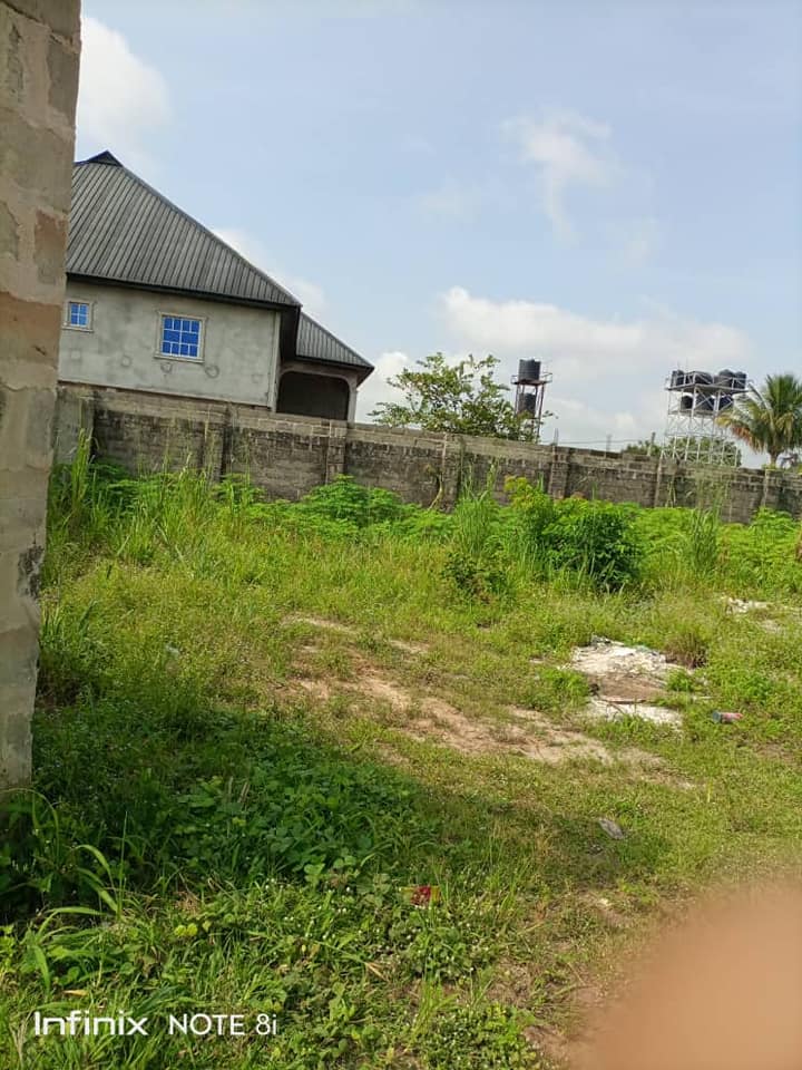 Land image