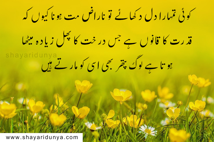 top 20 Best islamic quotes in urdu,islamic status in urdu,islamic quotes images,islamic quotes in urdu about life,islamic heart touching quotes