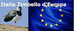 Italia: lo zimbello d’Europa