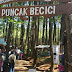 Puncak Becici Wisata Spot foto yang lagi hits