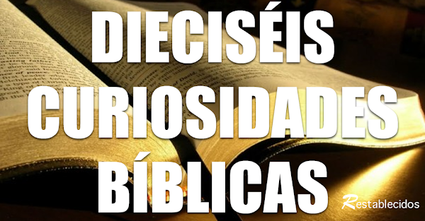 16 Curiosidades que quizás no sabías sobre la Biblia