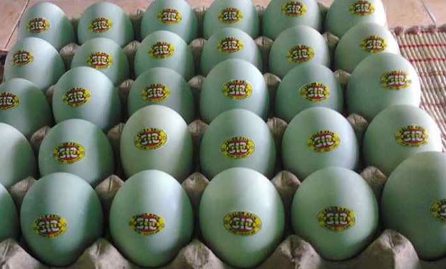 Peluang Bisnis Telur Asin untuk Pemula, Modal Kecil Untung Banyak