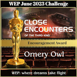 WEP Challenge June 2023