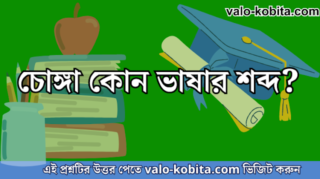 চোঙ্গা কোন ভাষার শব্দ?