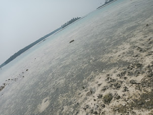 View of the clean Pitti island beach infested with dead coral and shell shrapnels.