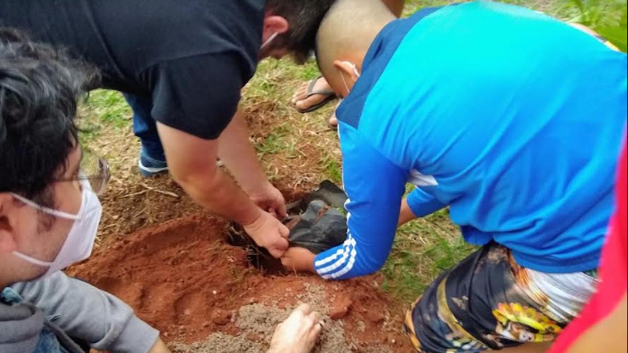 Escola “Álvaro José de Souza” realiza plantio de árvores frutíferas durante aula