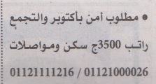 اهم وافضل الوظائف اهرام الجمعة وظائف خلية وظائف شاغرة على عرب بريك