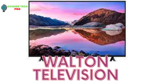 Walton Television