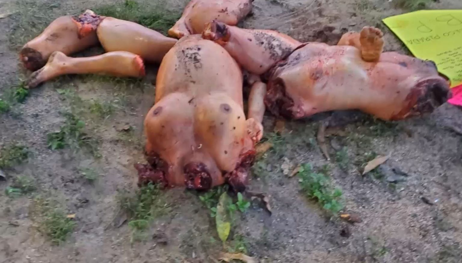 They left behind the corpses of two women who had been dismembered