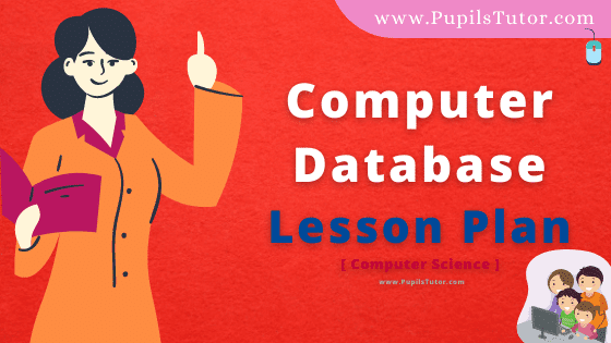 Computer Database Lesson Plan For B.Ed, DE.L.ED, BTC, M.Ed 1st 2nd Year And Class 9 To 12th Computer Teacher Free Download PDF On Mega And School Teaching Skill In English Medium. - www.pupilstutor.com