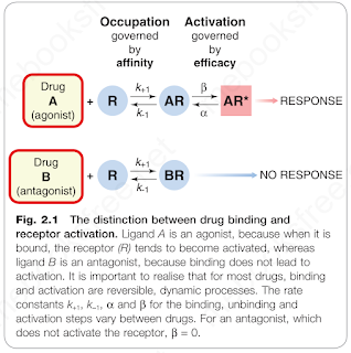 Drug Binding and Receptor Activation