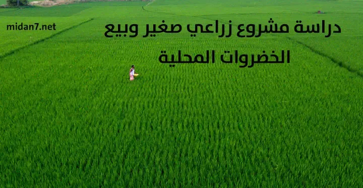 مشروع الزراعة وبيع الخضروات