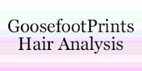 My Shop for Hair Analysis