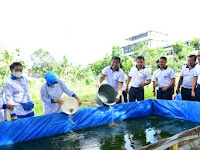 Komandan Lantamal XIV Sorong Tebar 3.000 Benih Ikan Lele Untuk Mendukung Program Ketahanan Pangan