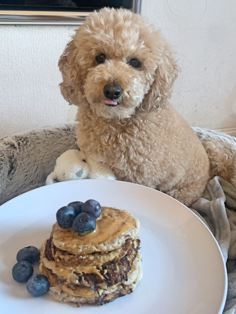 Dog Friendly Pancakes Recipe