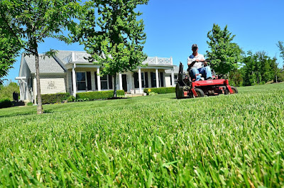 How to Fix Common Lawn Problems