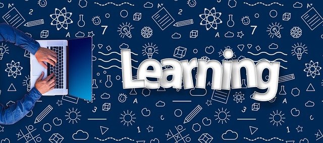 Discover Why Learning Requires Interactions and an Instructor - Zango Anything