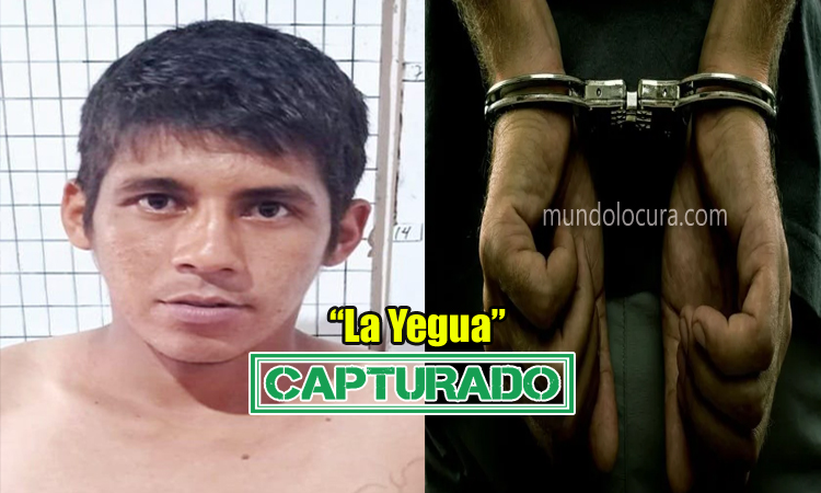 El Salvador: Cayó homeboy de la 18S , alias "La Yegua", peligroso sujeto amenazaba con matar a los comerciantes que no pagaban la extorsión