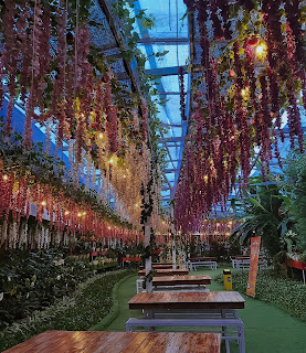 San Terra de Lafonte Malang Bernuansa Rainbow Wisteria