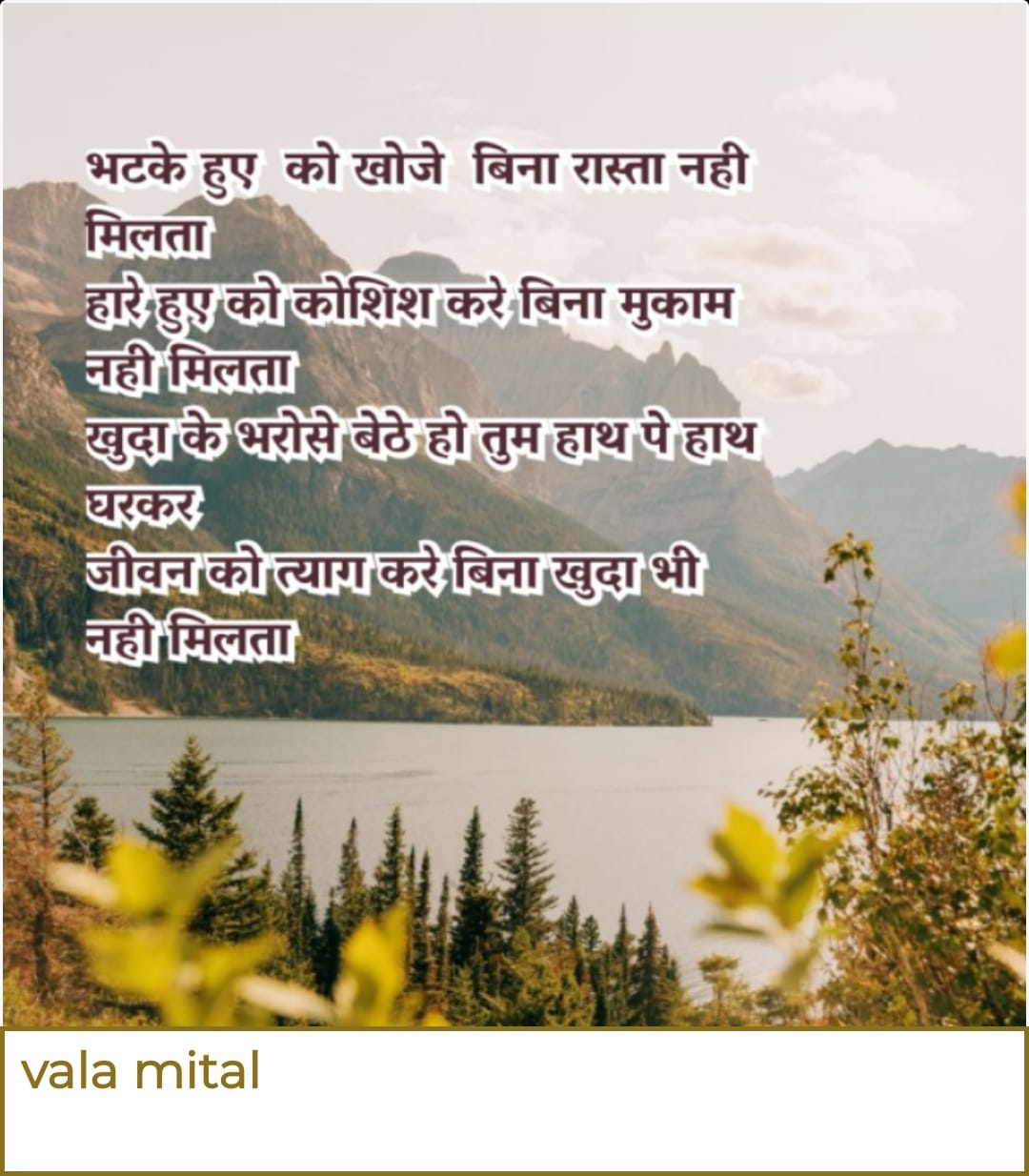 Image
