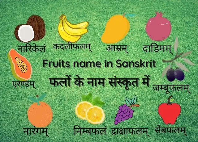 Fruits name in Sanskrit