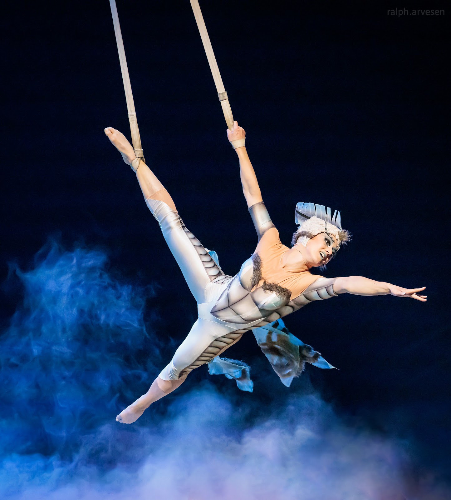 Cirque du Soleil OVO | Texas Review | Ralph Arvesen