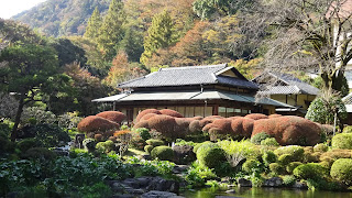 吉池旅館の庭園。紅葉は控えめだけど、きれい