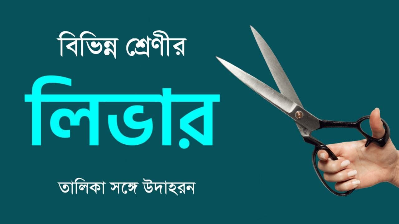 বিভিন্ন শ্রেনীর লিভার PDF