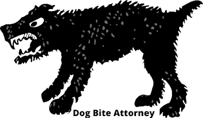 Dog Bite Attorney