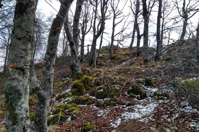 Llegando a la cima de Umandia