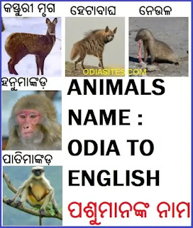 Animals Name in Odia and English