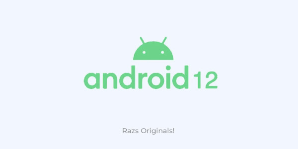 How to install android 12 on any arm64 device