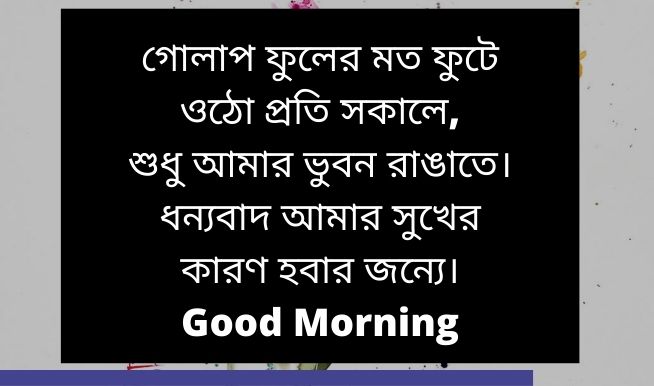 সুপ্রভাত প্রেমের বার্তা