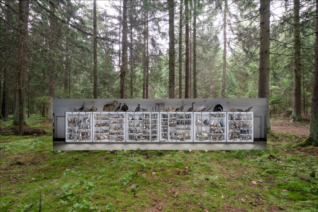 A large photo of stuffed birds in a museum is surrounded by trees inside a large wood