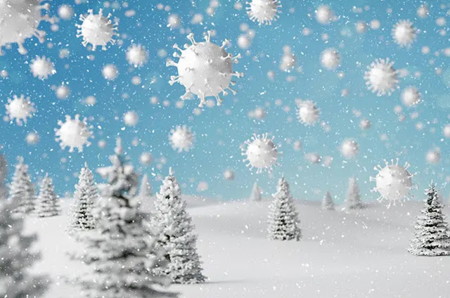 An illustration depicts white, spiky coronaviruses as snowflakes in a wintry landscape with evergreen trees.