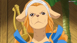 ワンピースアニメ ゾウ編 758話 ワンダ WANDA ミンク族 MINK TRIBE | ONE PIECE Episode 758