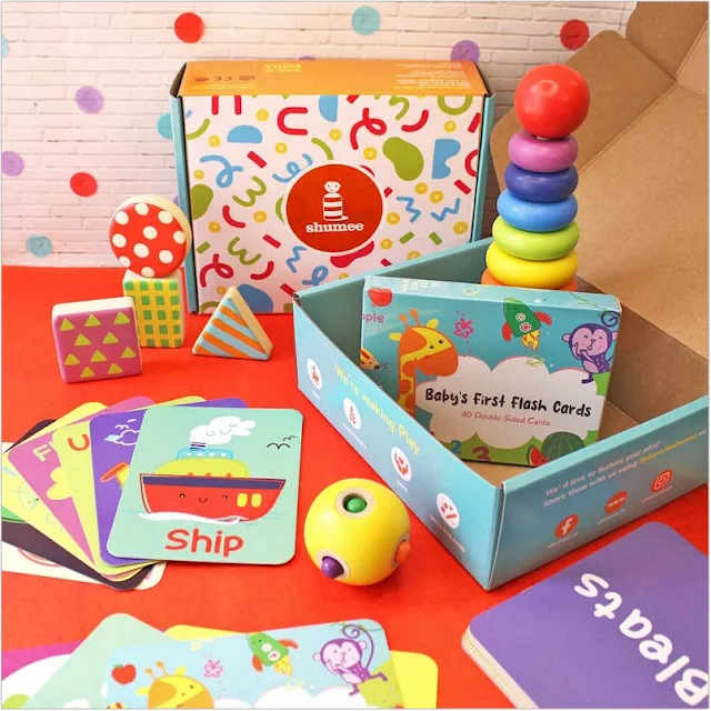 Developmental Toys Subscription Box for Children