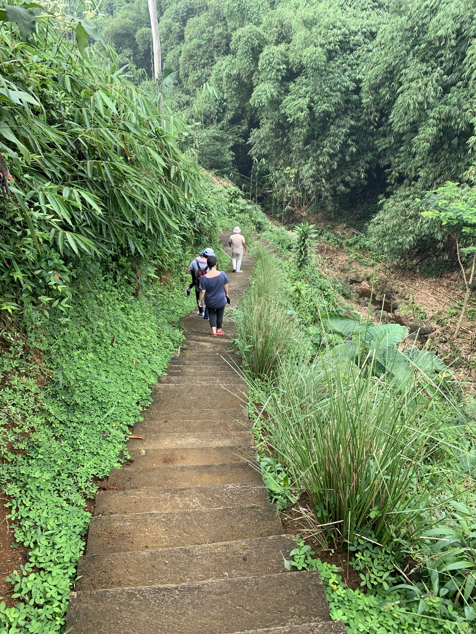 Sukasantai Farmstay, Sukabumi, Jawa Barat, Indonesia